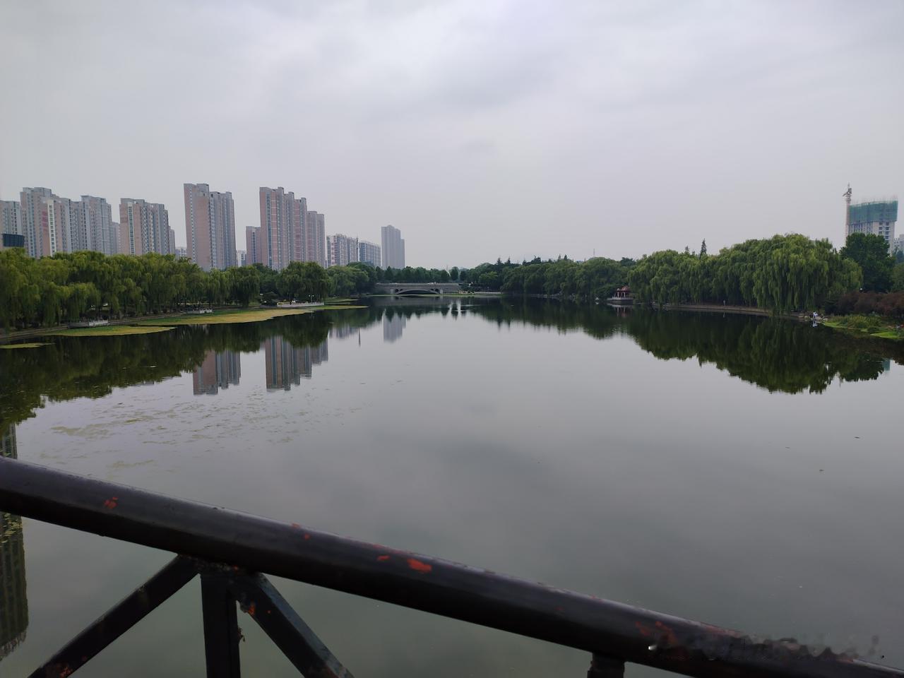 分享一张你最近随拍的照片