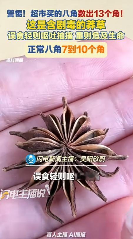 浙江舟山的黄女士那天在家炖红烧牛肉，从超市买回一袋散装八角，随手抓了两颗丢进锅里