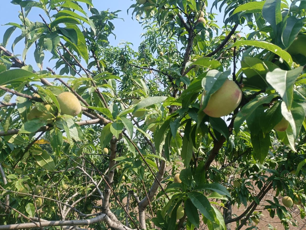 形意拳摔打的比较多，
上下一明一暗，
上下互助，
基本上沾住了就不好跑了，
总要