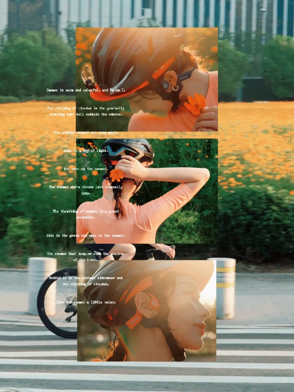 骑进了盛夏热烈的波斯菊花海🌼 🚴多巴胺