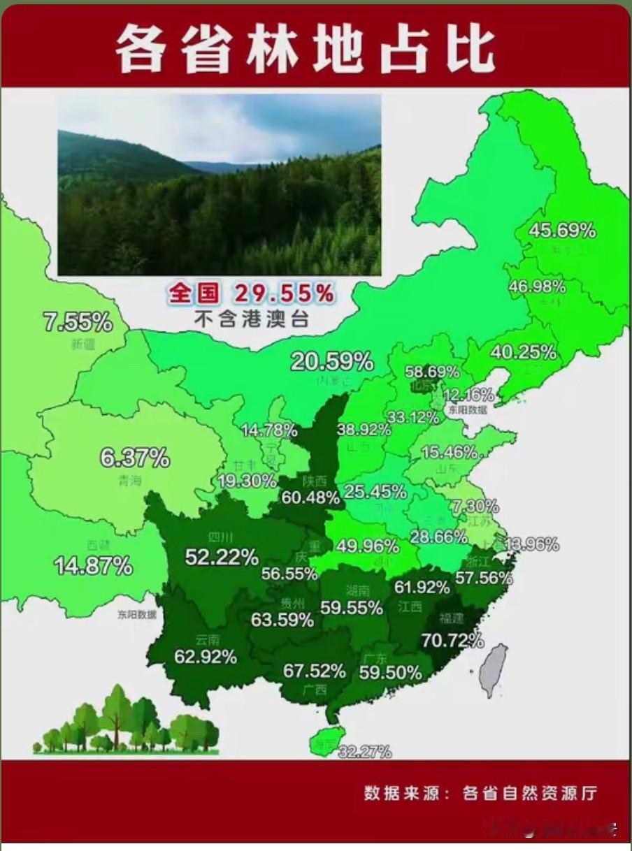 陕西林地面积占比超六成超越海南、
广东、湖南、四川、重庆、浙江等南方省市

陕西