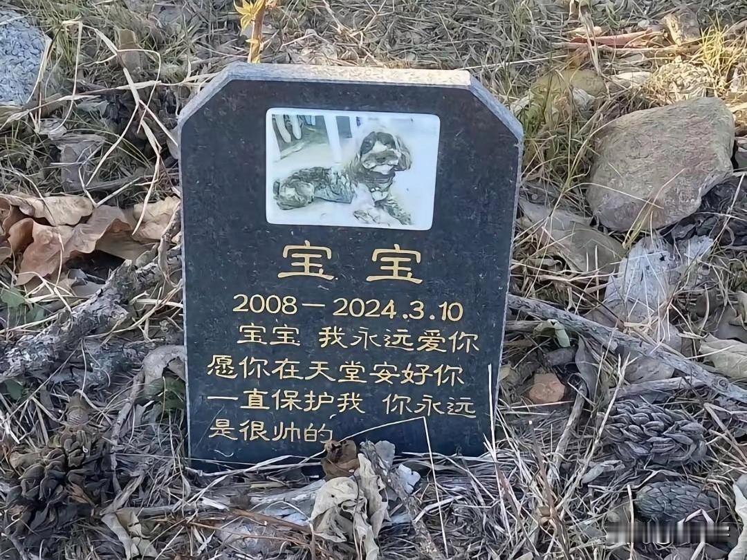 这一幕，只有经历过的才会懂吧？