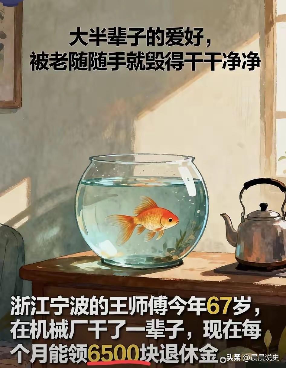 67岁大爷月领6500退休金，因一缸金鱼离家两月：耗尽婚姻的从不是争吵
 
浙江