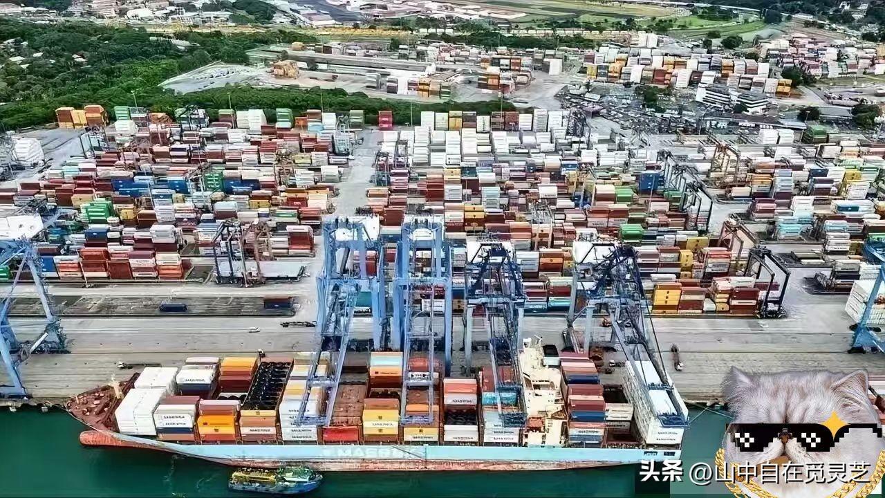 当地时间3月13日，巴拿马政府公开恳请中国企业不要放弃在当地的港口运营，因为业务
