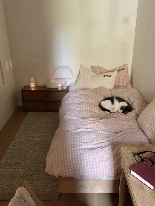 my room | 房间不大，但很好宅