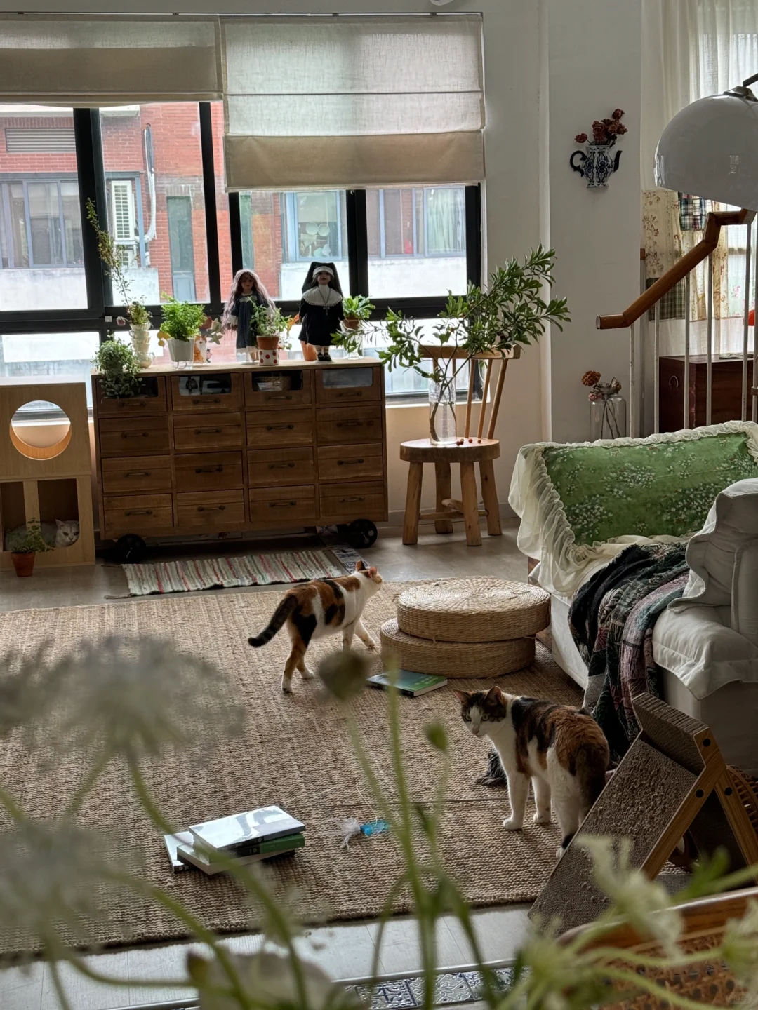 在家里放了一颗杨梅树