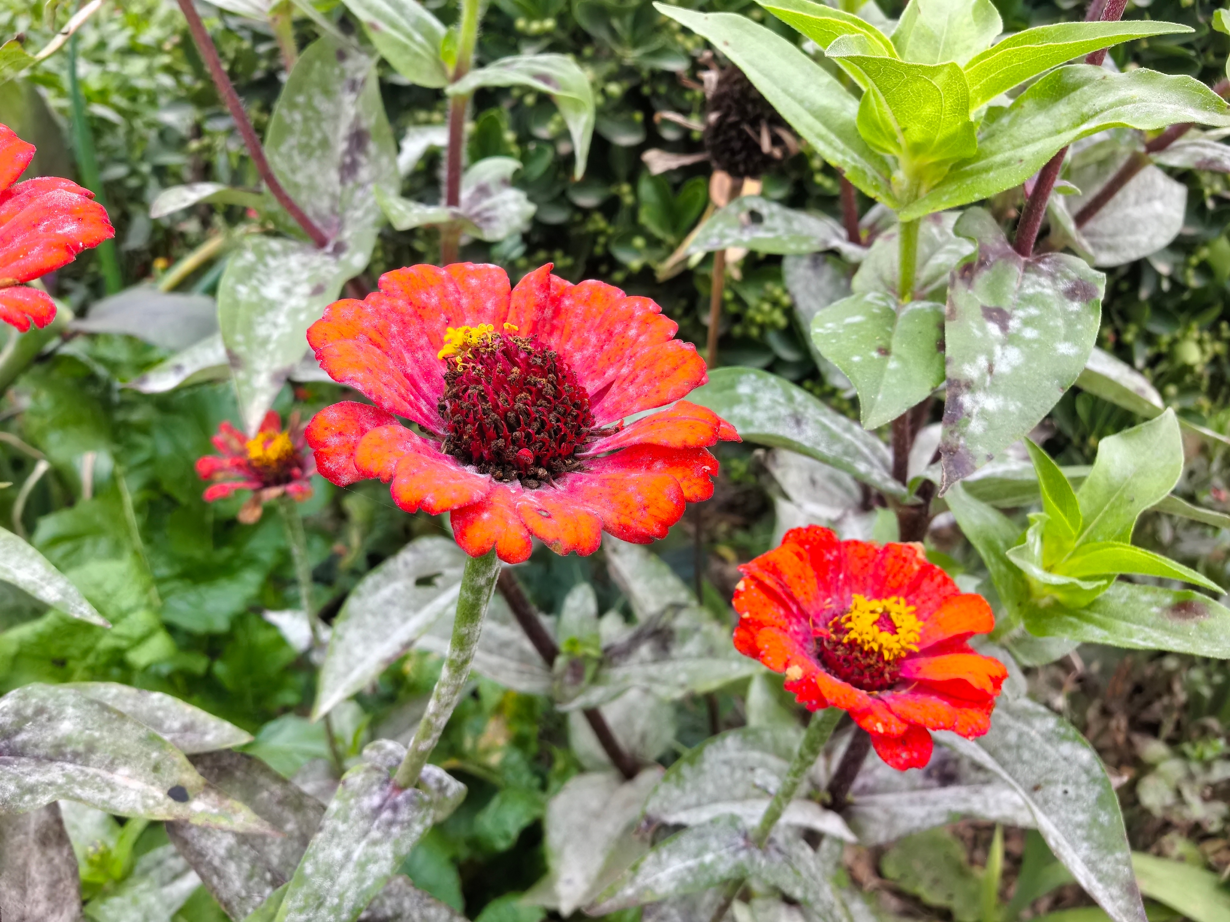 每日一善[超话]每日一善[超话] 🌻阳光信用 🌻每日一善保持阳光心态，积极面