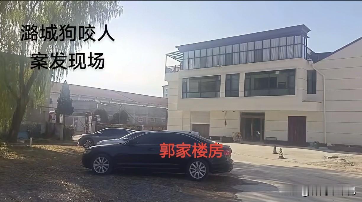 郭家和申家，一家是气派三层洋房，一家是普通小院儿。

郭家郭某刚是做全屋定制生意