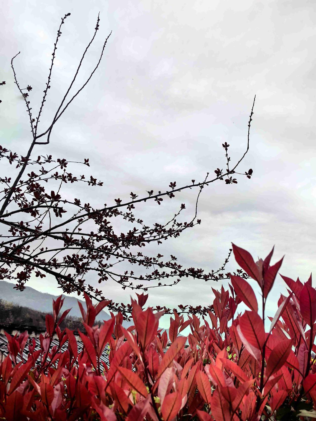 我的今日状态：😁轻松愉快
我这里的天气：☀️晴天