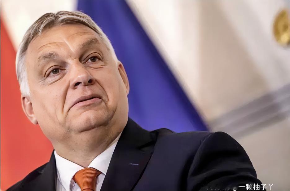 总理欧尔班在社交平台直接喊话民众：欧盟计划给乌克兰的800亿欧元援助，最后得从咱