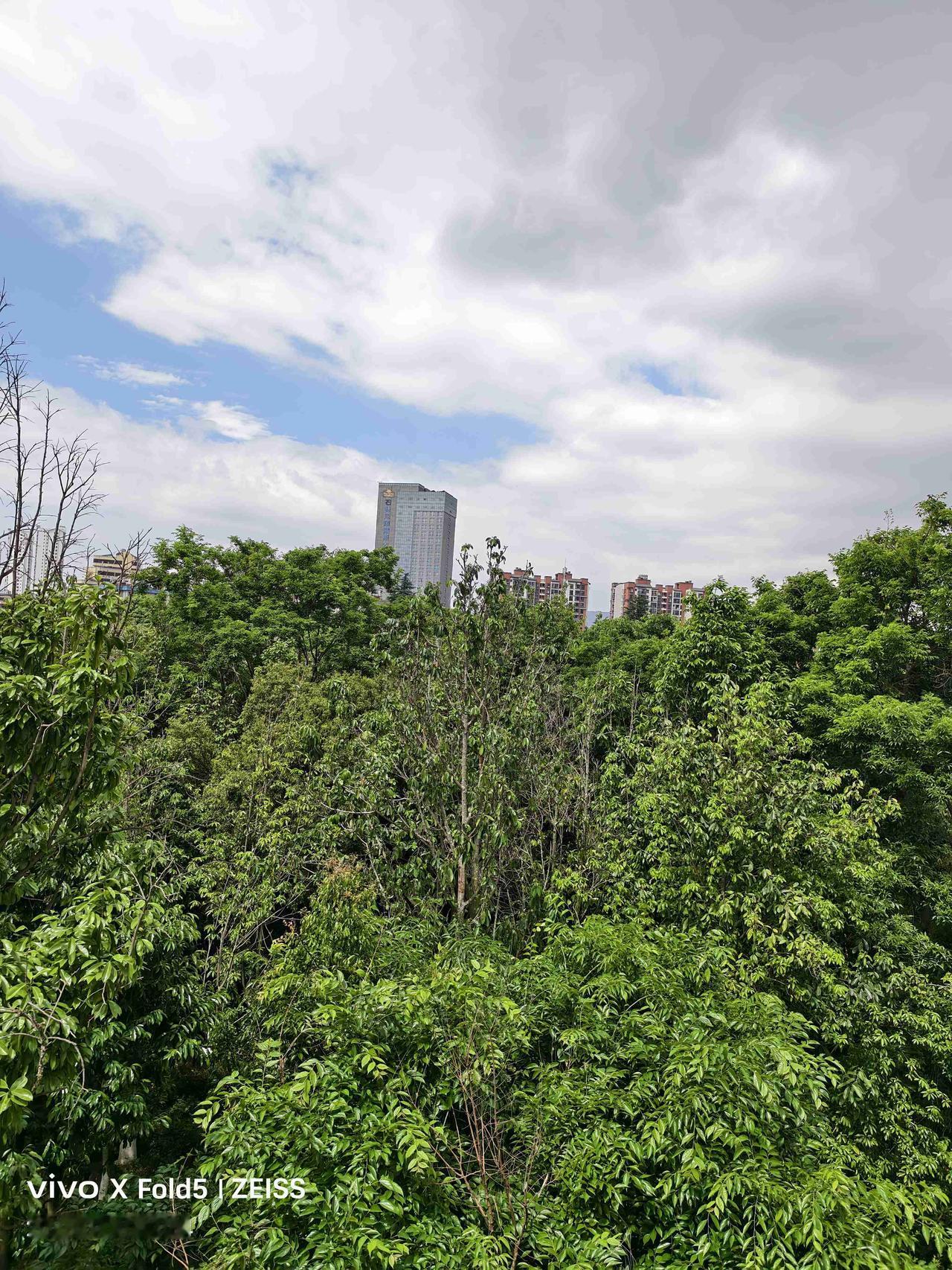 今天周末，本应交通十分拥挤，没想到开车外出，畅通无阻。

中午有事，开车外出，一