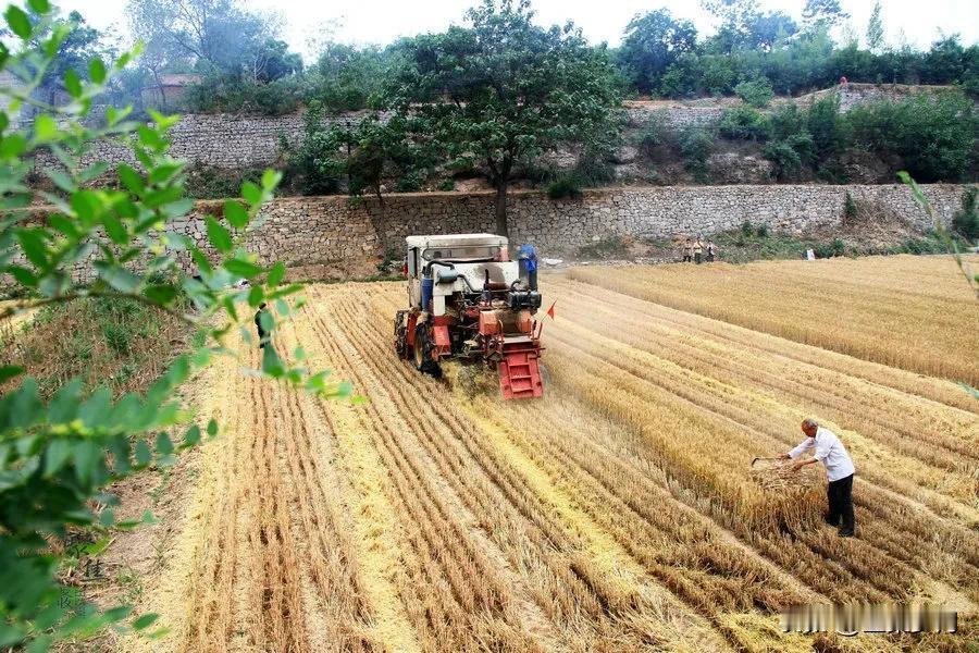 有三农专家建议把土地退还国家，由国家统一管理。提供种子化肥，提供农业机械设备，组