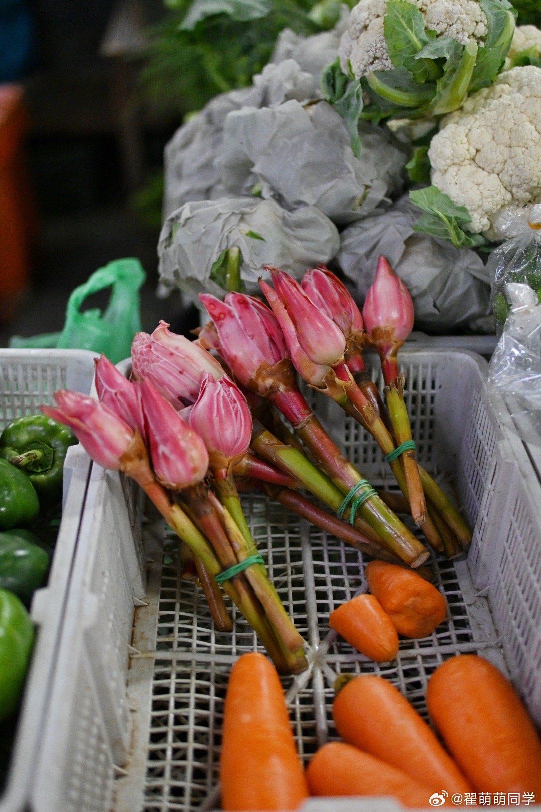 又是下大雨的一天，早起逛菜场，完美 马来西亚·山打根