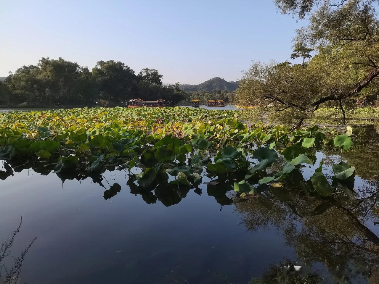 我要回农村，盖一间房子，种一块地，畅想退休生活。哇，听起来好向往的退休生活啊！回