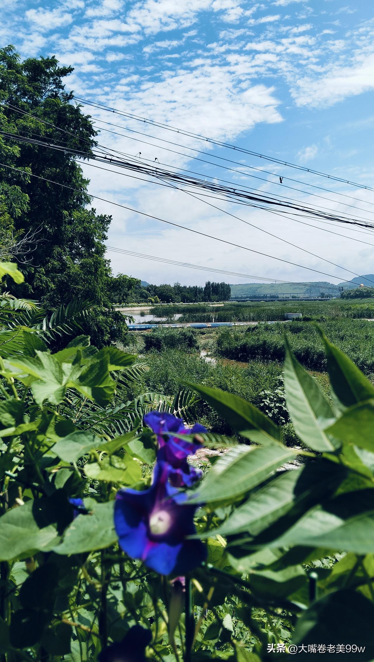 夏日生活打卡季