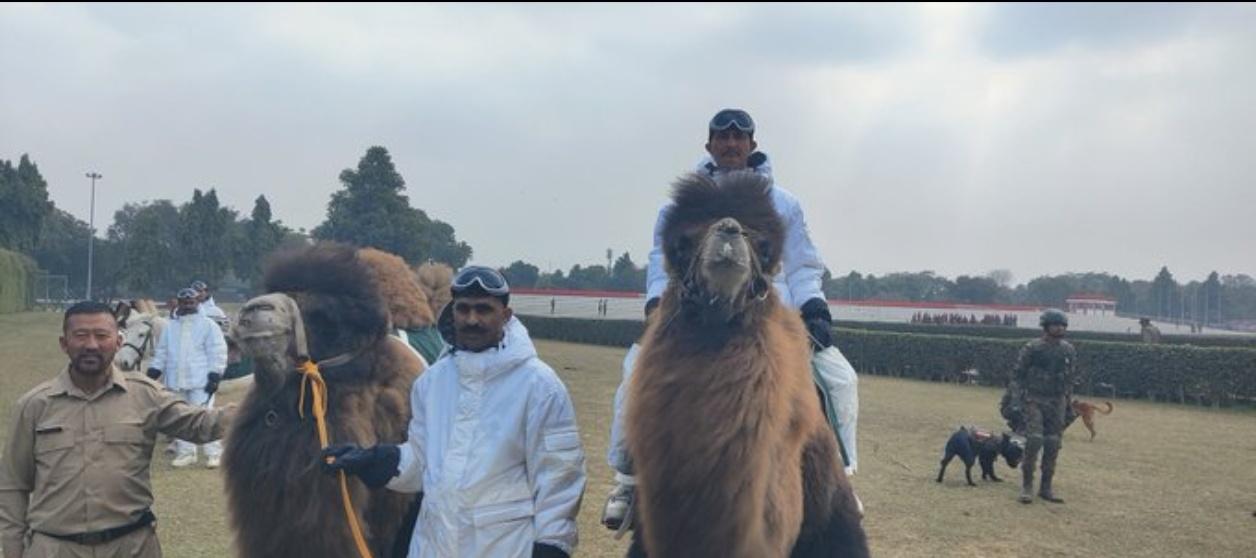 不好了，印度阅兵式不光玩儿摩托车叠罗汉了，他们开始对动物下手了！

1月2日消息
