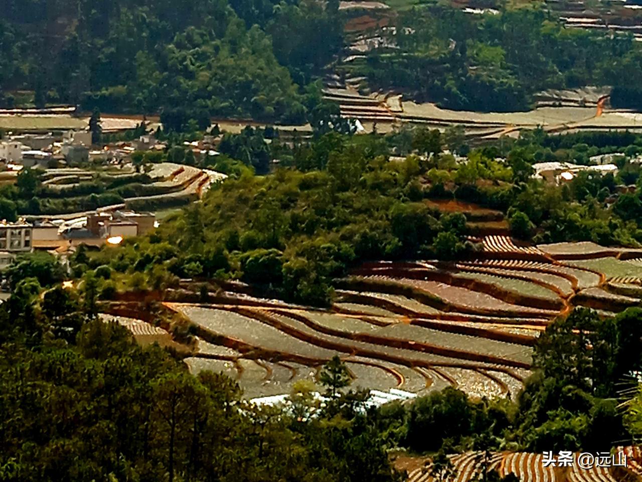 云南红土梯田。