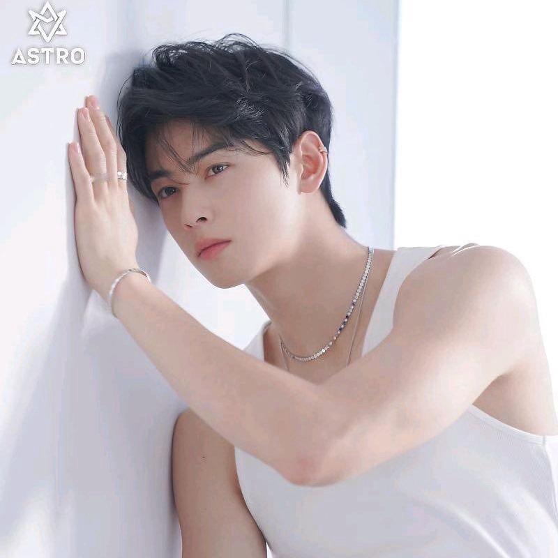 终于知道车银优像谁了 车银优像林志颖，不是五官像，是气质像。都是那种干干净净、笑