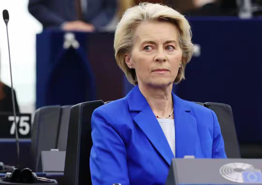 好话不听，反制欧盟7家公司毫不手软？
北京时间4月24日，中国商务部发布公告，正