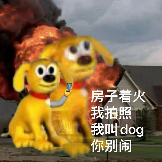 电子宠物狗抽象表情包 ​​​