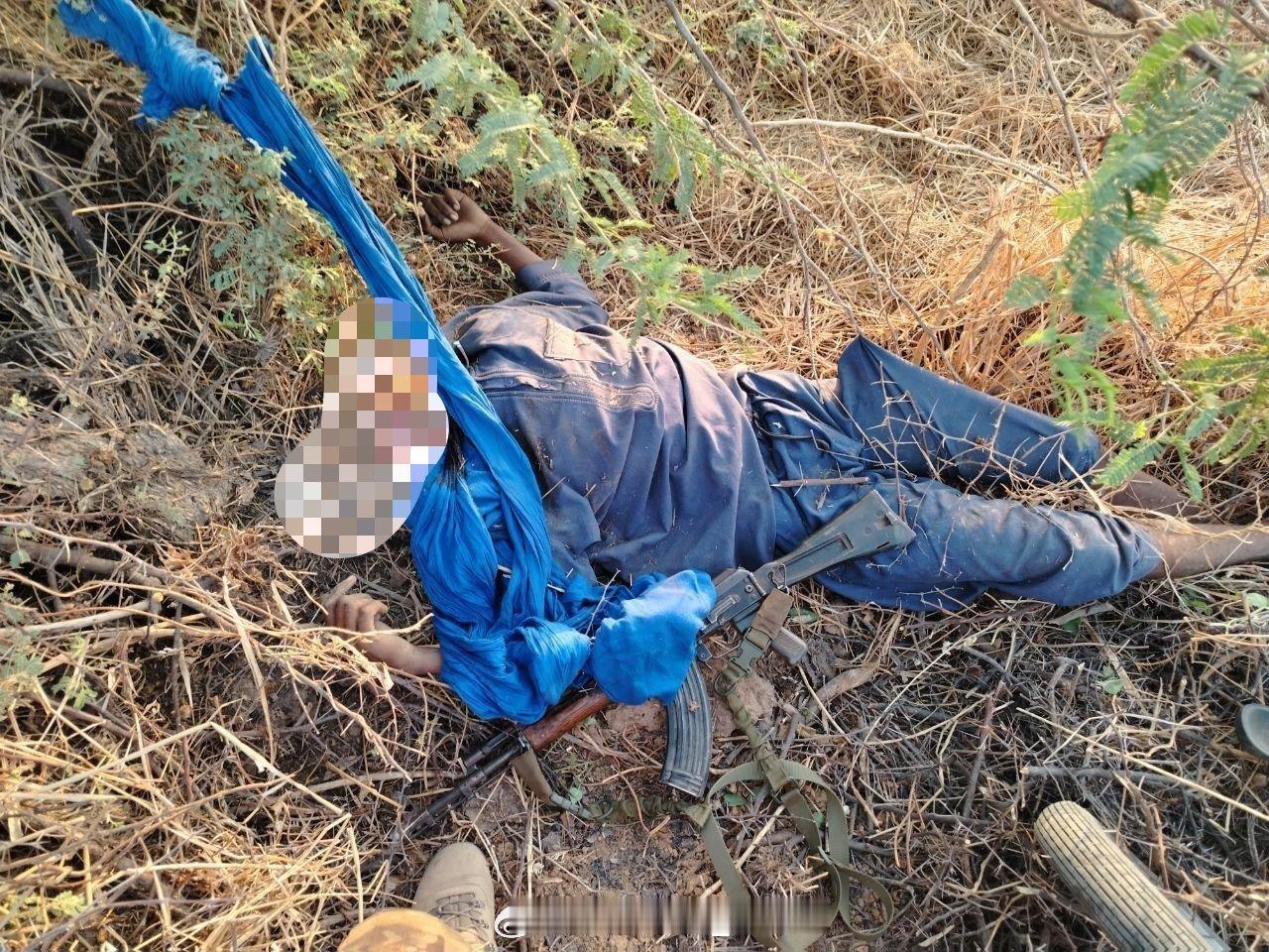 俄罗斯“非洲军团”与马里政府军在尼奥诺地区巡逻时打死武装分子。 