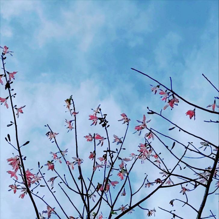 我国提前一个月完成2025年全年就业目标任务   城镇就业人员规模好于预期   