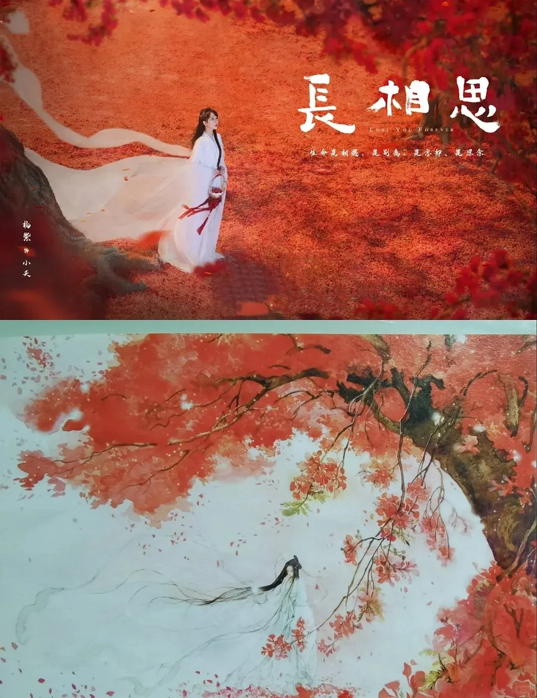 妈耶‼️长相思2六月就播‼️原班人马