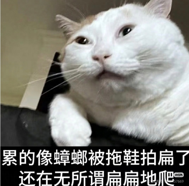 为了能在项目期请出一天假闪击上海CQ买我cp的本又在熬夜加班，搞上纸片人心态都回