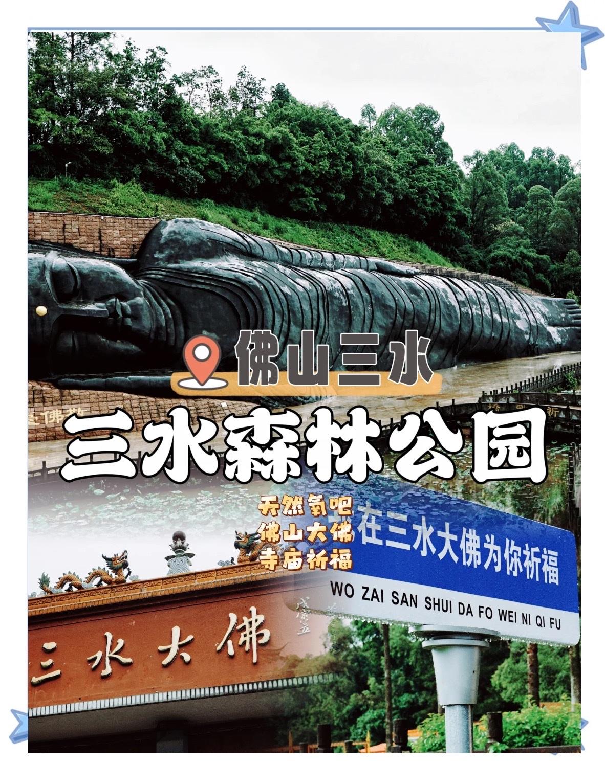 佛山三水森林公园｜免费吸氧一日游，附美食攻略

藏在佛山三水的城市绿肺——三水森