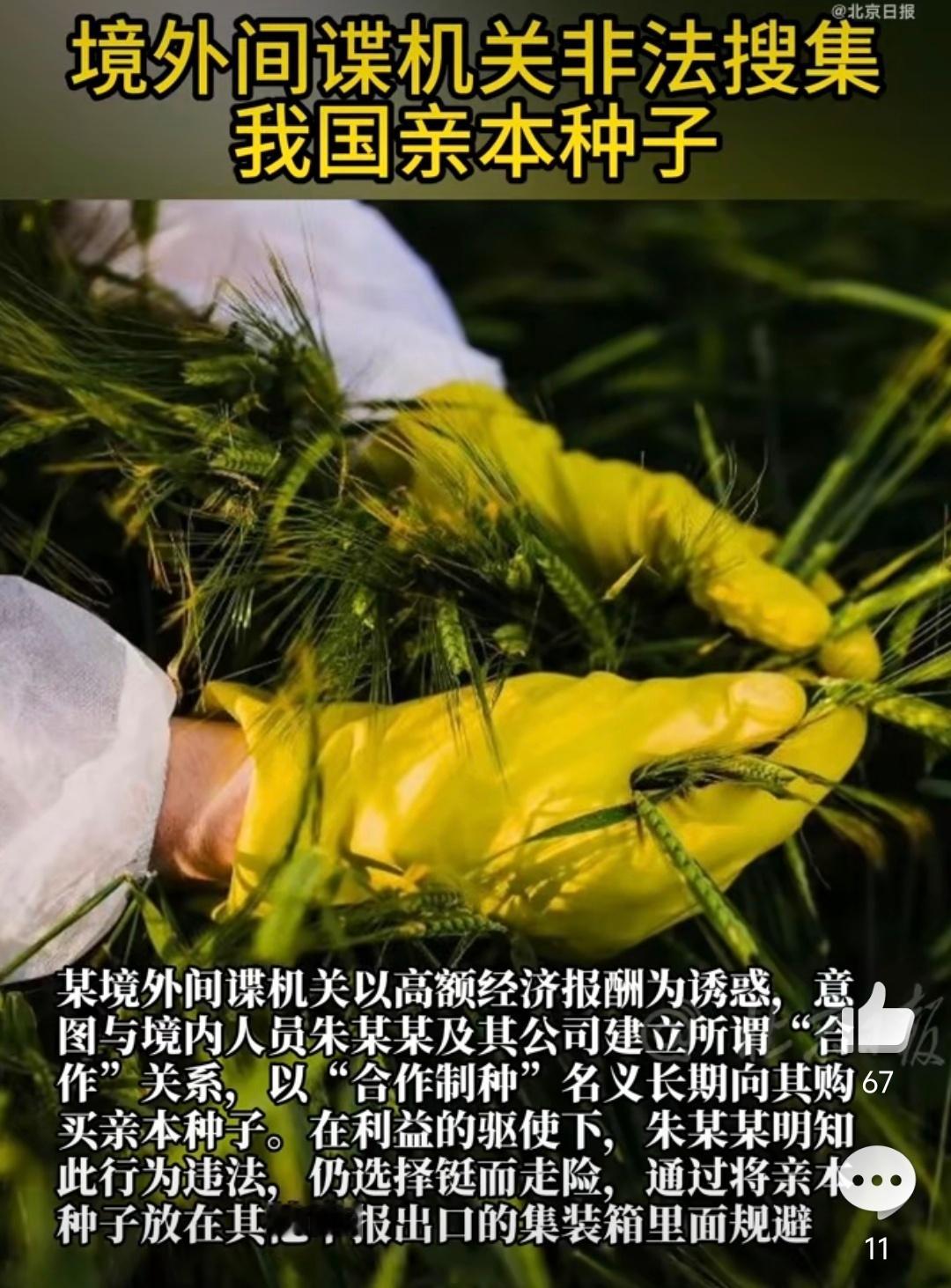 间谍加大对我国粮食领域渗透 粮食事关国本，咱们一定得重视起来，一方面加大“内奸”