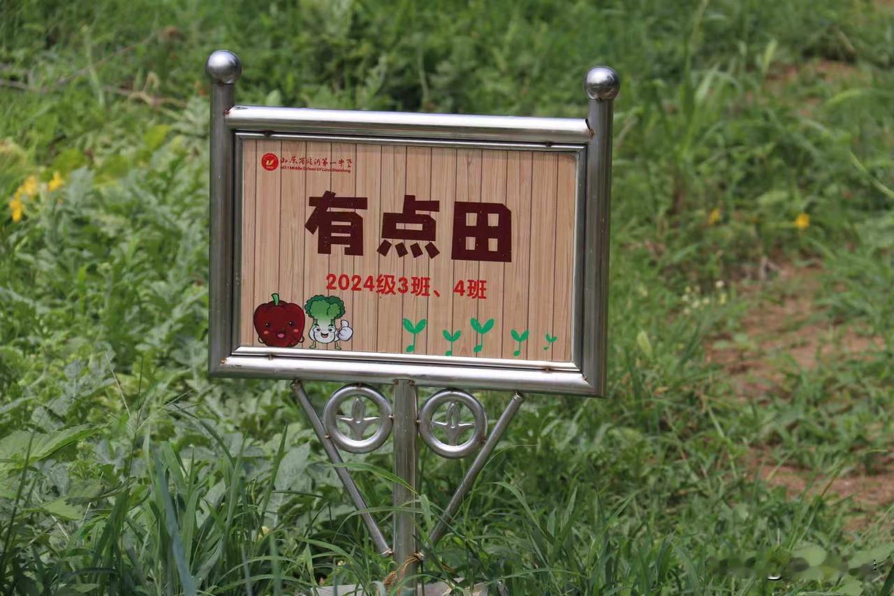临沂一中南校区越来越出名了！
今天来才知道，临沂一中南校区是与本部和北校区师资共