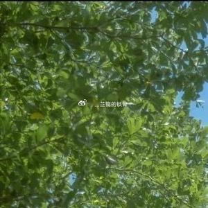 崇裕二年，孟冬之际，汴京城三十里外的兰溪县青桥村的乡路上，苏氏夫妇携家中女使碧云