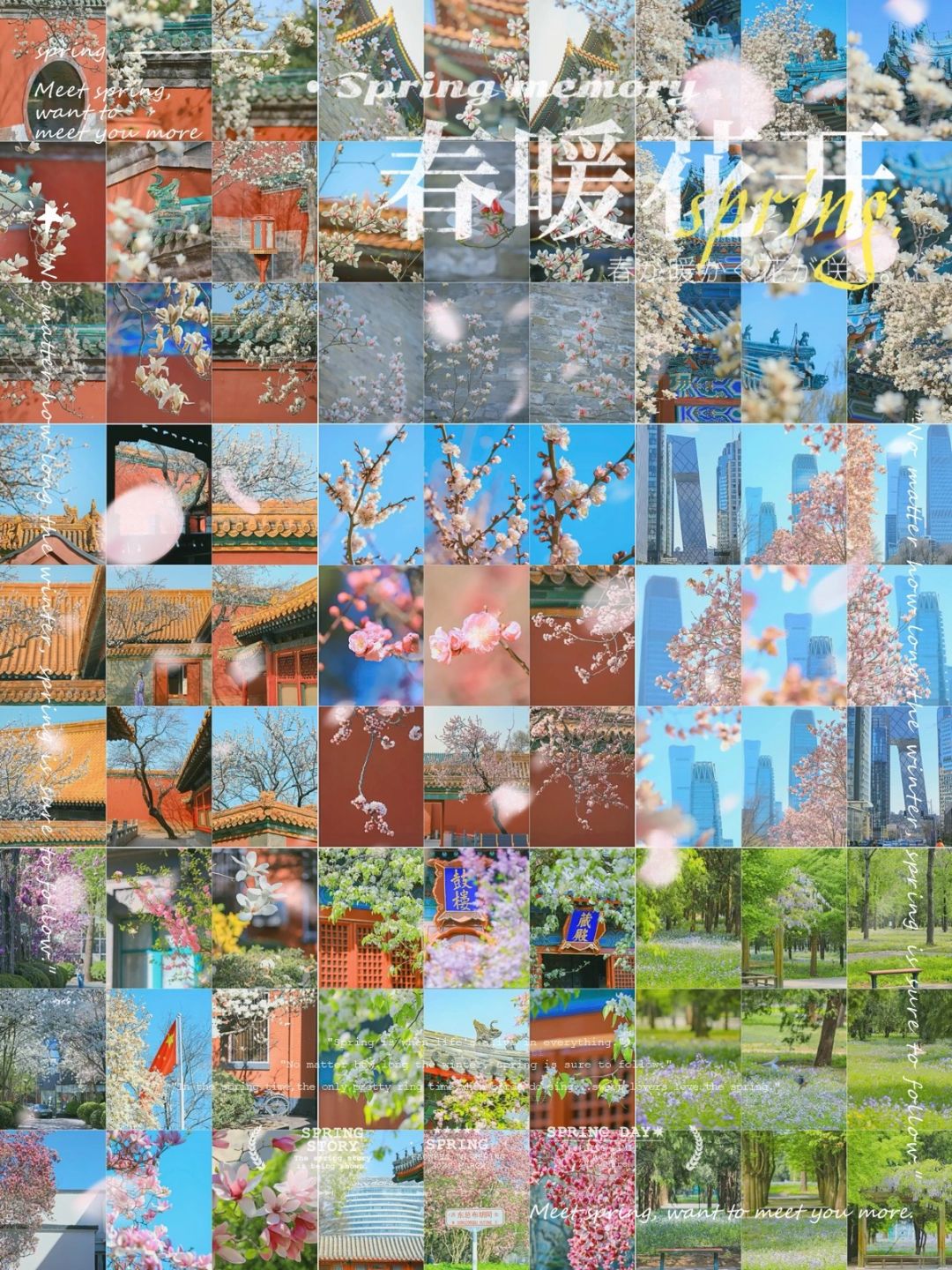 【日更版】2024北京春季赏花实时播报