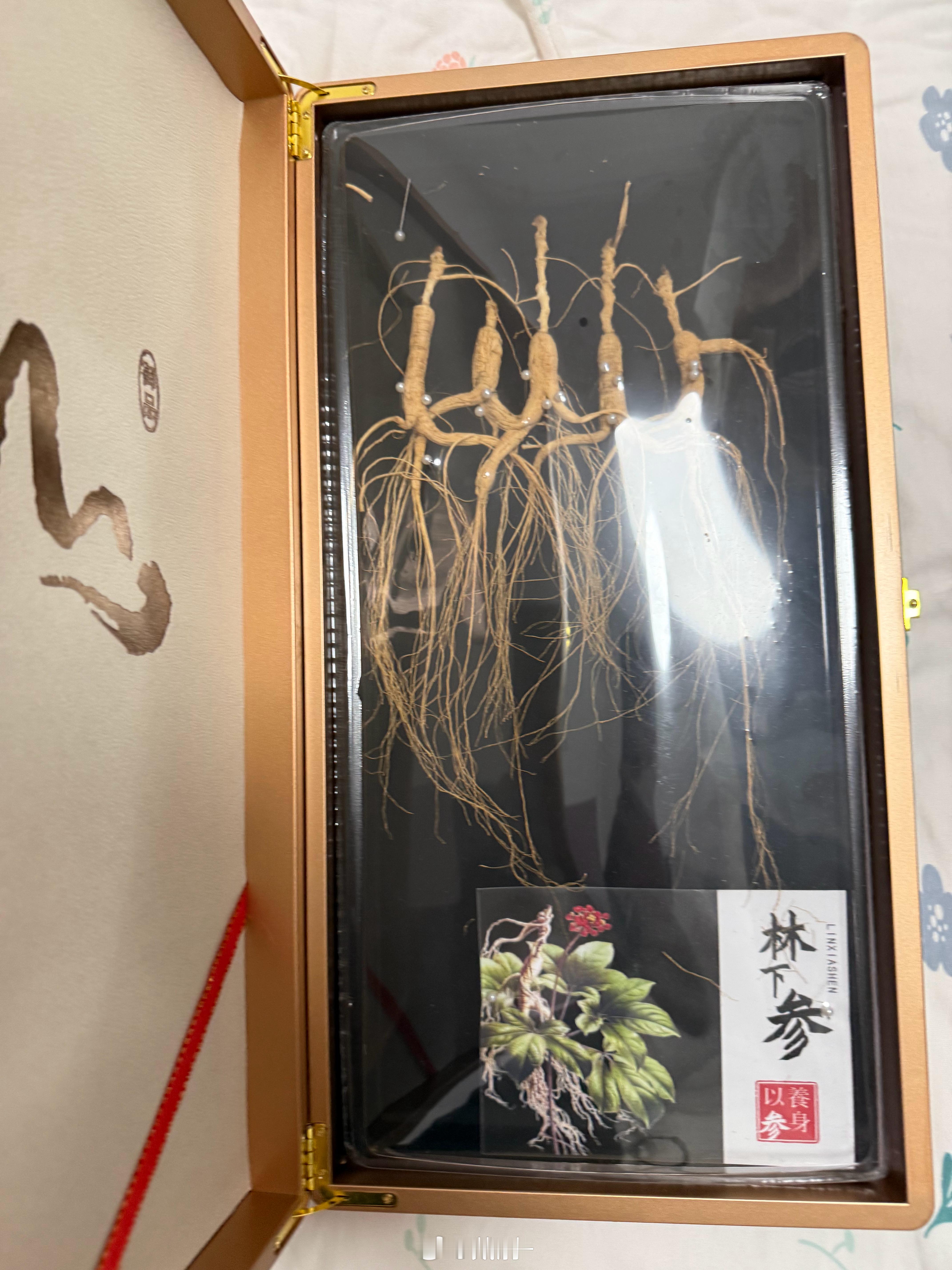 感谢东北刘亦菲，刚翻出来拆了想问套哥，这个该怎么吃