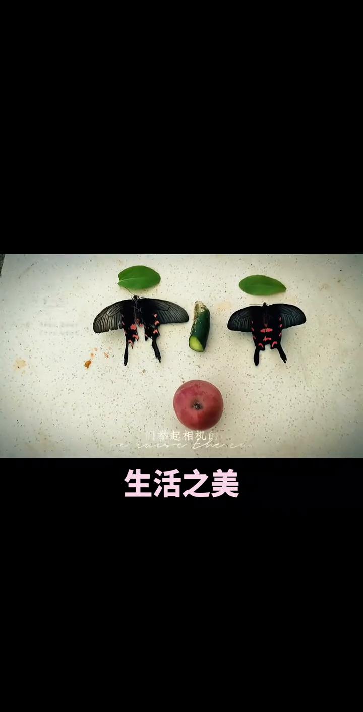 生活之美。
当我们举起相机的时候，拍摄的不只是眼前的风景，更是心中对生活的那份热