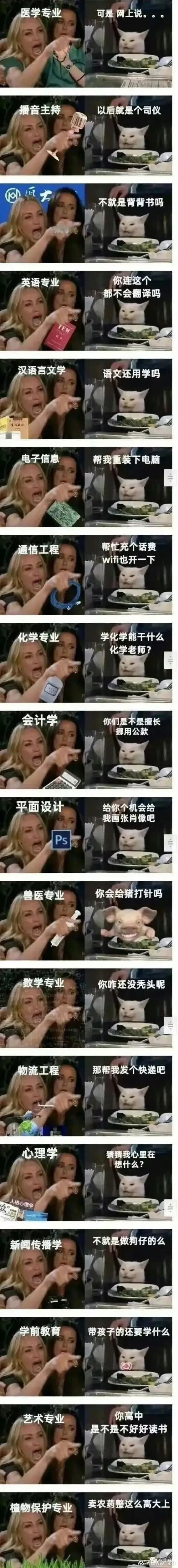 一句话惹毛一个专业