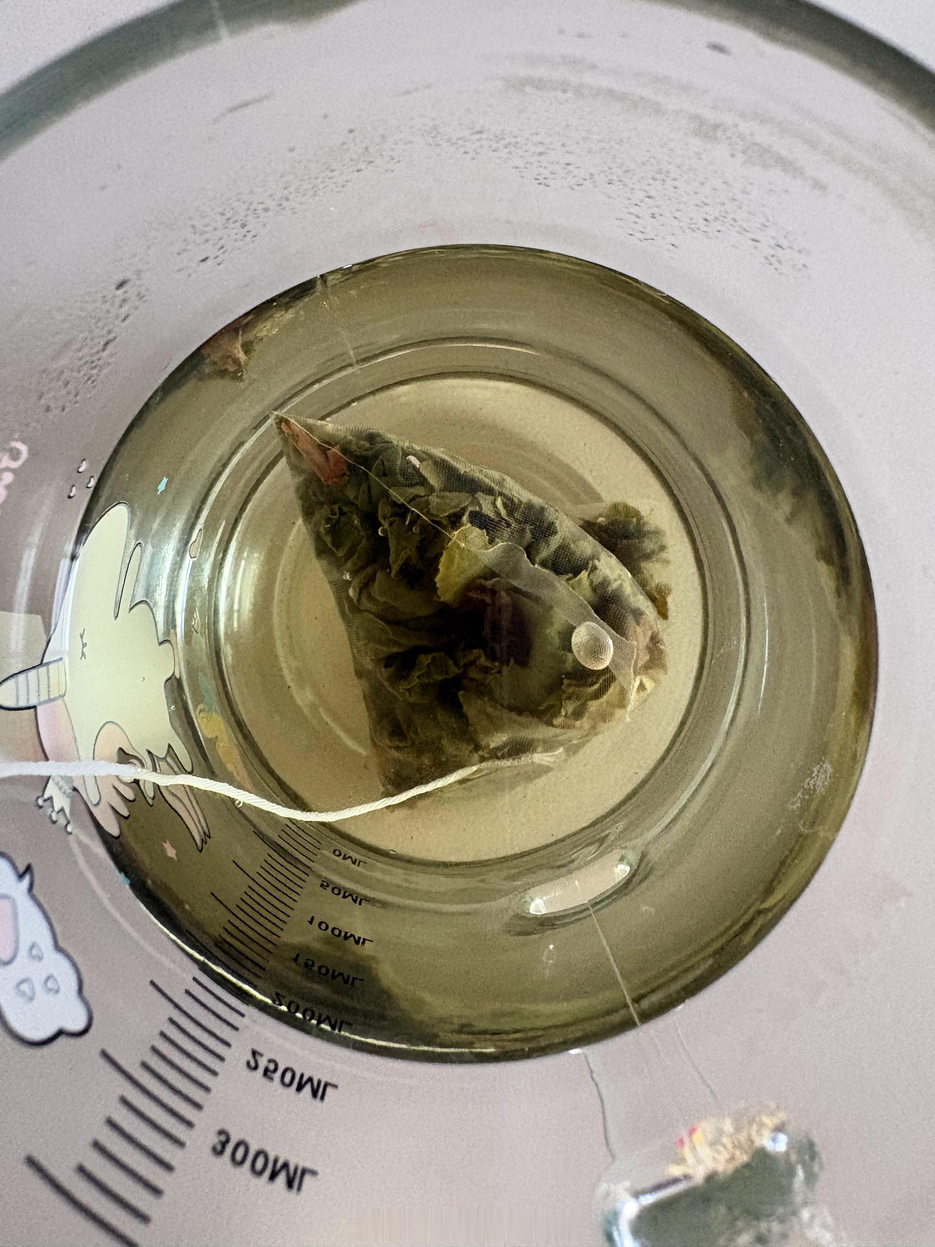 砌一杯桃子味的茶☕️ 
