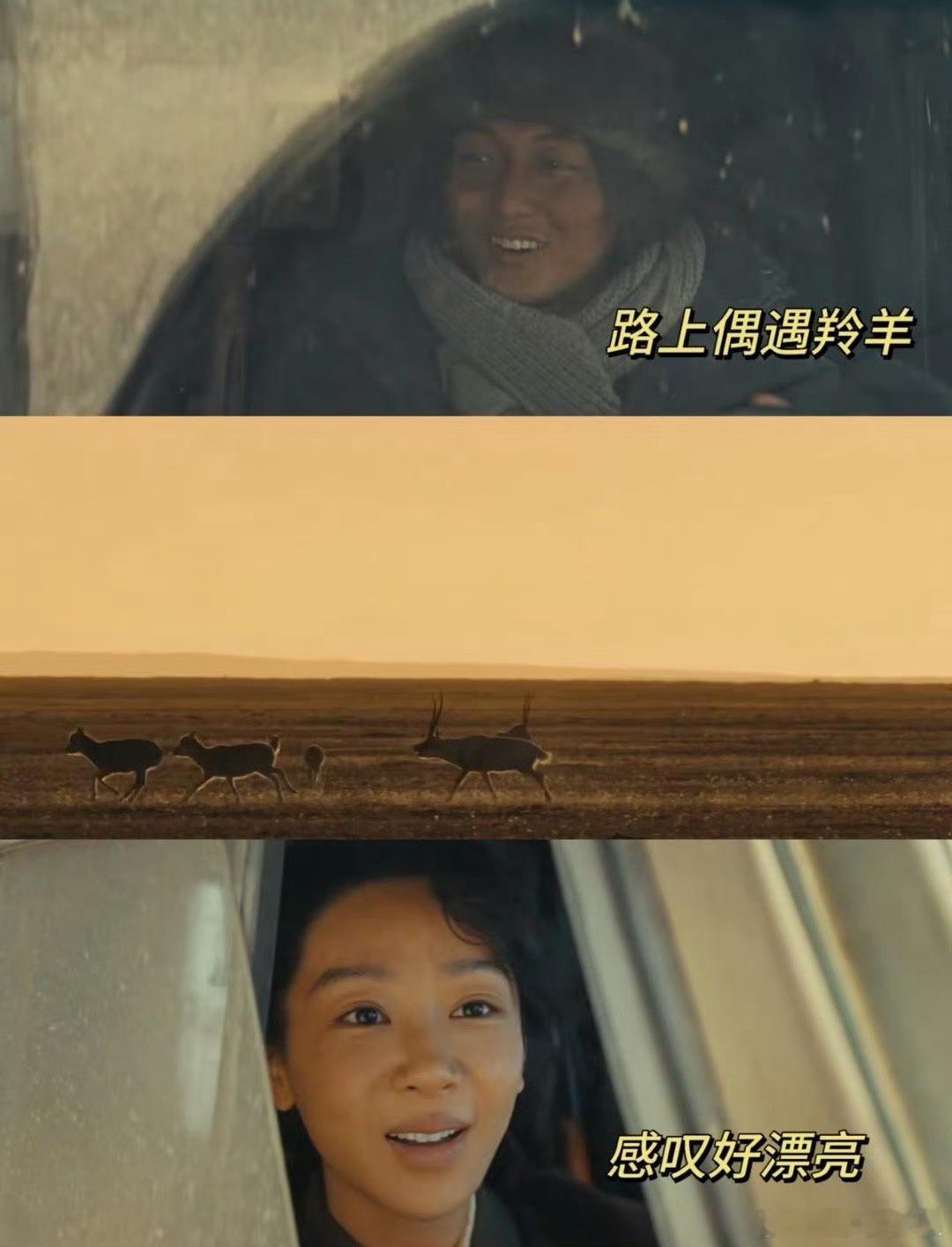 顶级细糠通常以最粗糙的形式出现《生命树》满是高原的本真质感，人物细节和自然镜头都