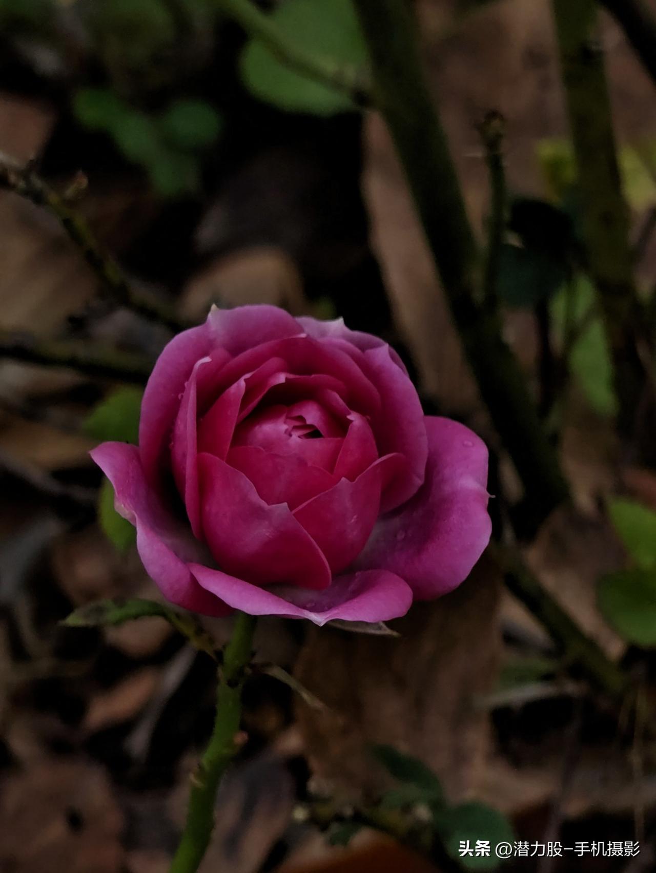 分享一张你相册里安静时光的照片