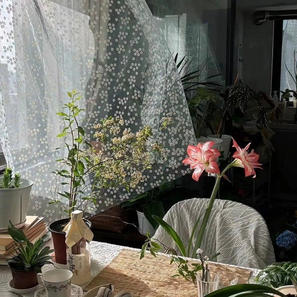 𝗦𝗵𝗮𝗿𝗲★「 𝐖𝐞𝐂𝐡𝐚𝐭：小众背景图 ₊⁺」☆ ​​​