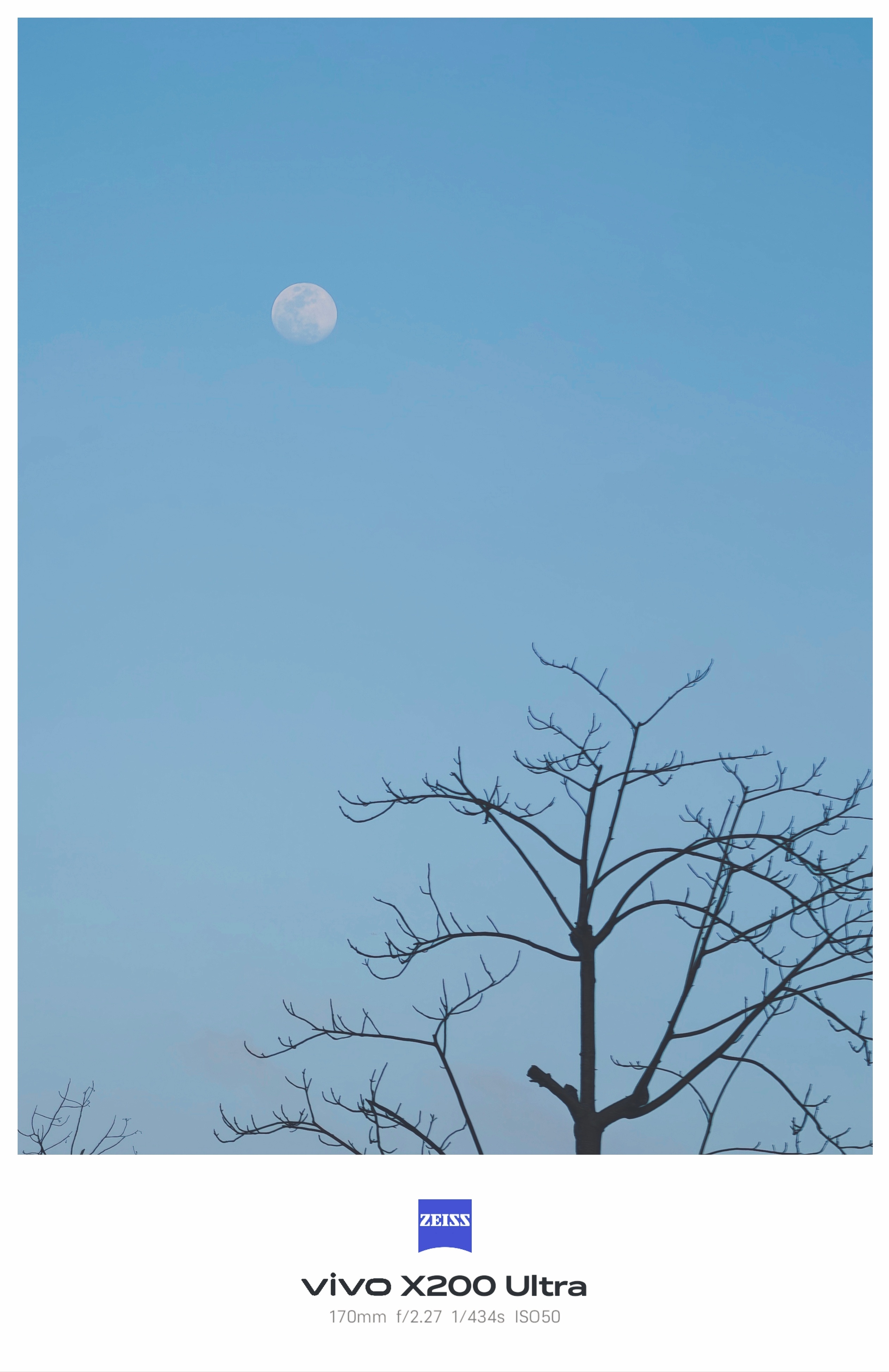 还是喜欢这种非贴图的感觉