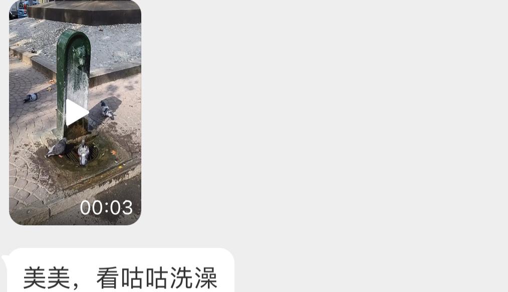 洗澡澡的咕咕它是会找地方的🚿 ​​​