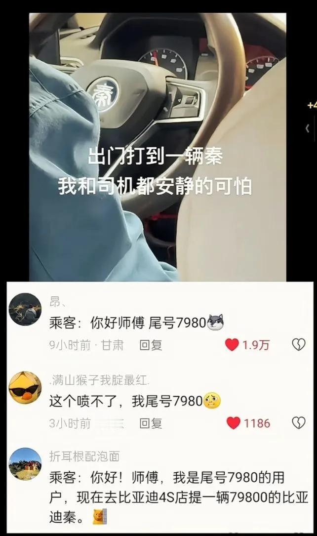 7980是什么梗吗[what]
