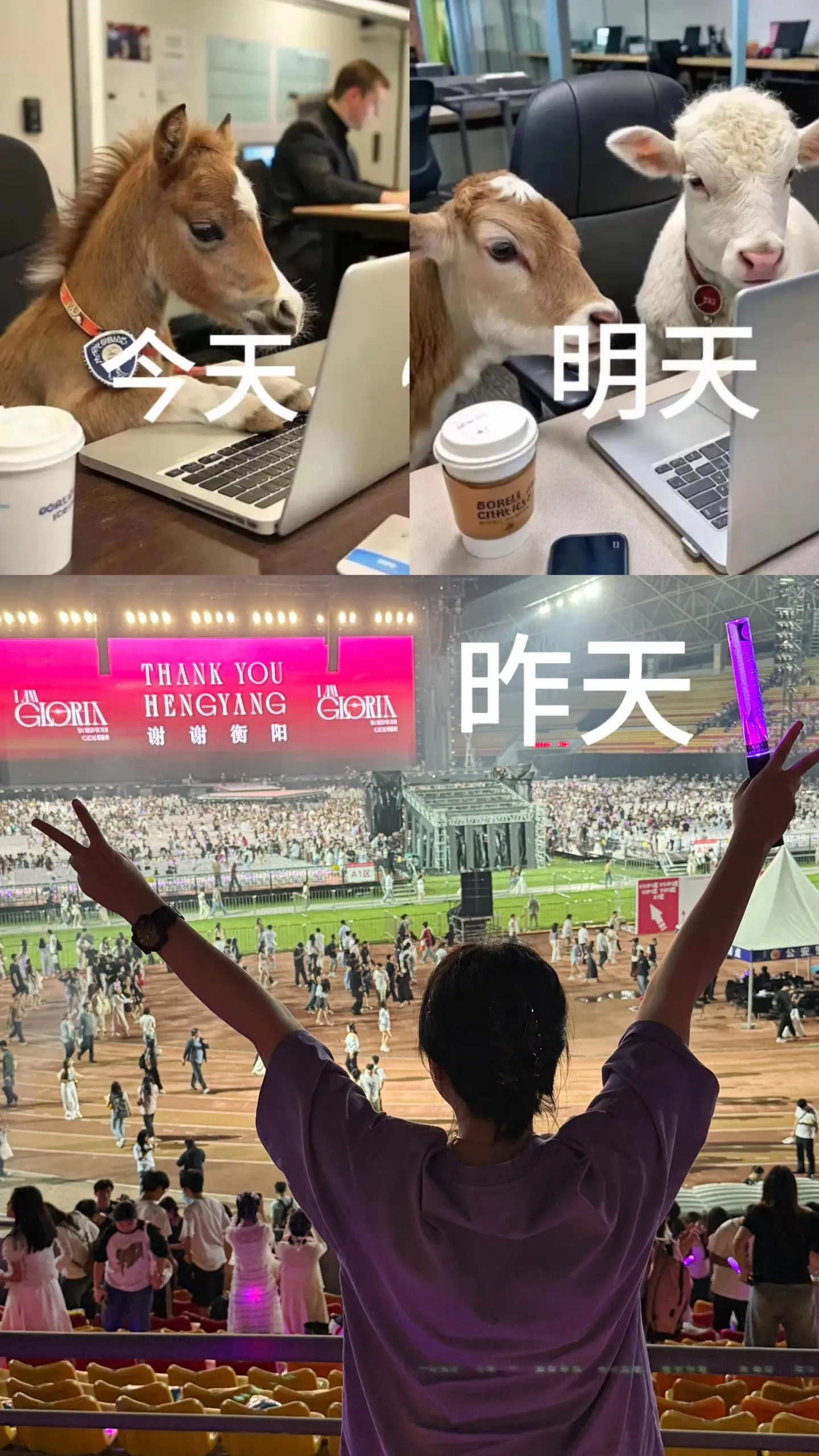 看懂的人已经哭了，下次见面又要很久了