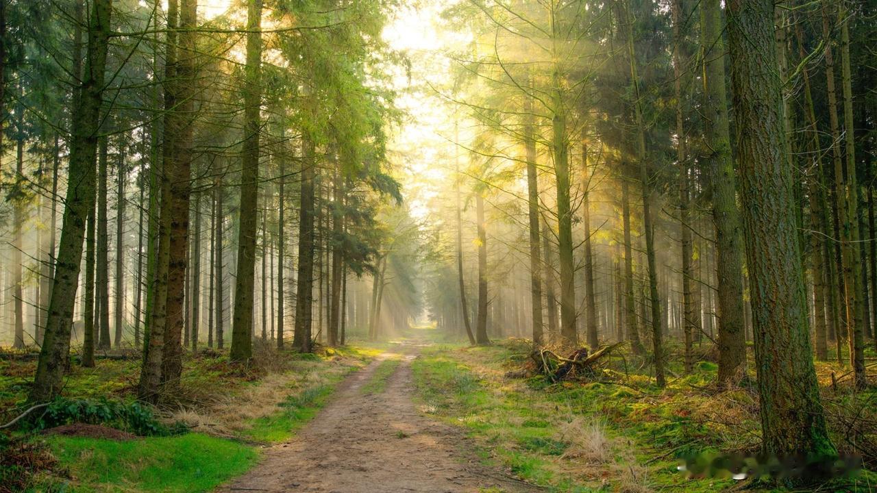 晒图笔记大赛在自然里旅行：从瀑布、树林小路和竹林中找回最真实的自己