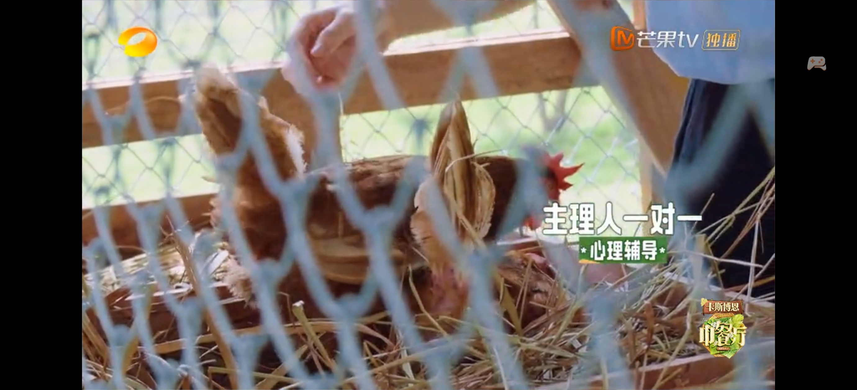 王俊凯 王俊凯 中餐厅10 小凯:谁这么不努力可可爱爱的PS:一大早就开始工作的