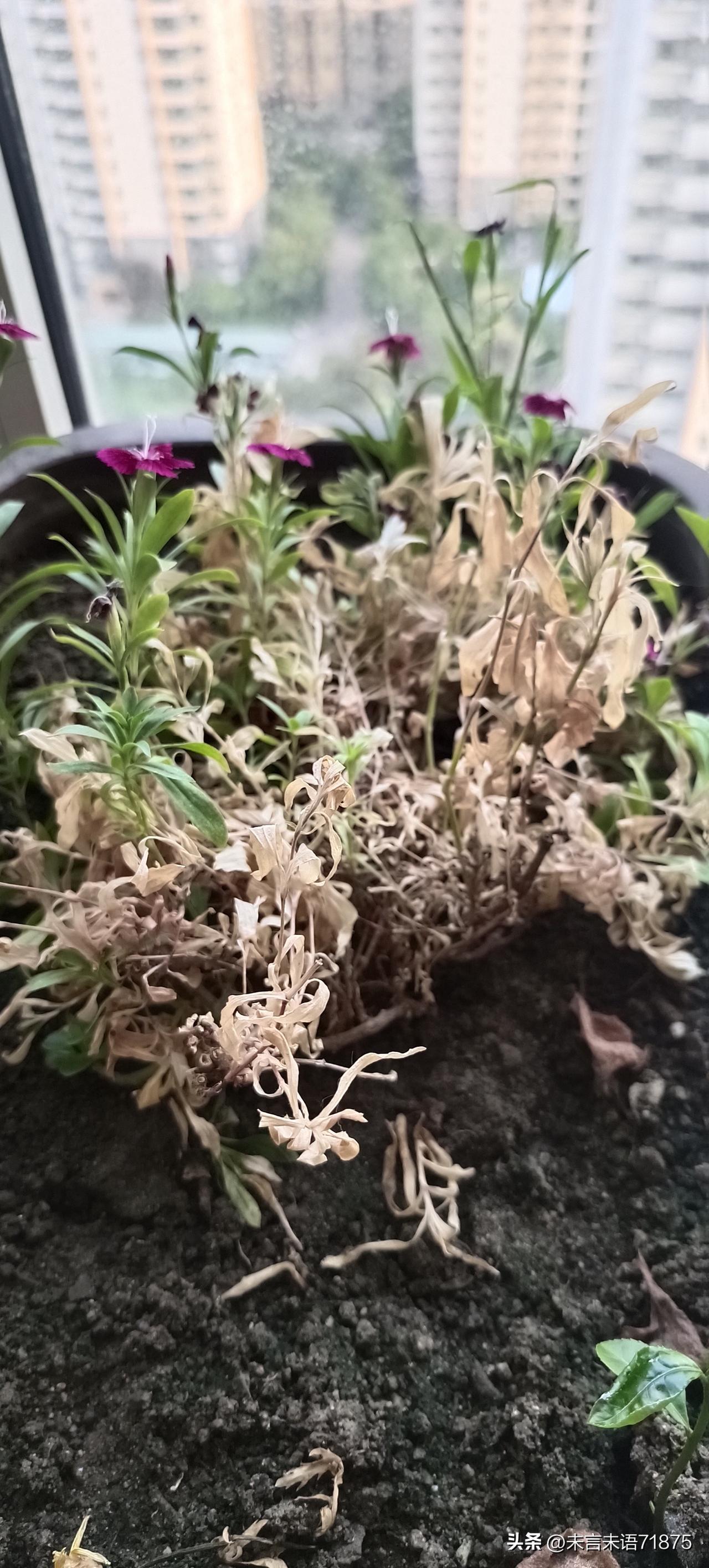 人的生死难道真的是命中注定的吗？发生在我身上这件事真的很玄幻，让我越想越可怕。
