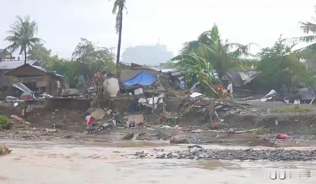 台风“海鸥”掠过菲律宾群岛已逾一周，
灾后疮痍却仍在持续发酵。
马科斯还是未等到