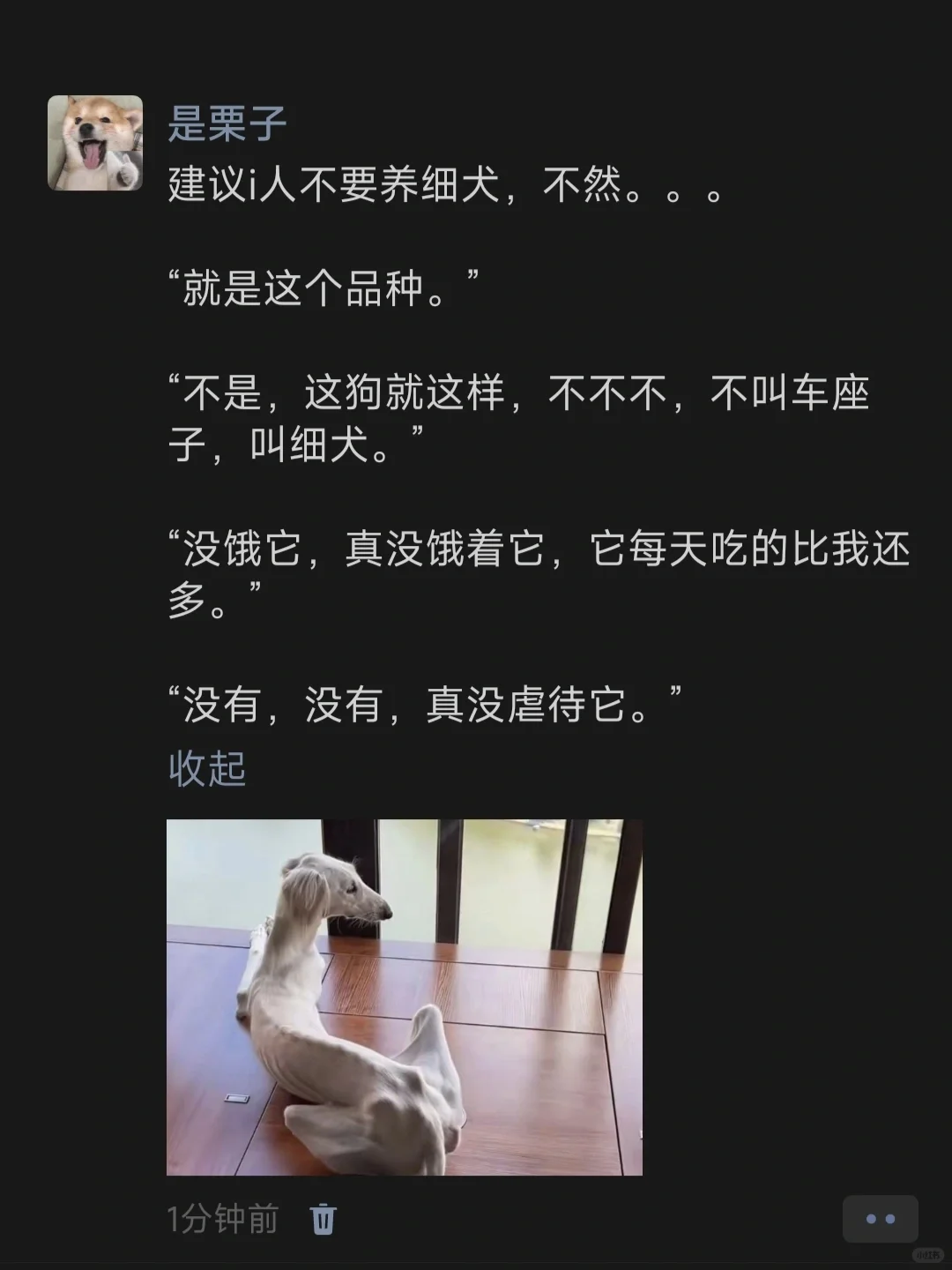 建议i人不要养细犬，不然。。。​