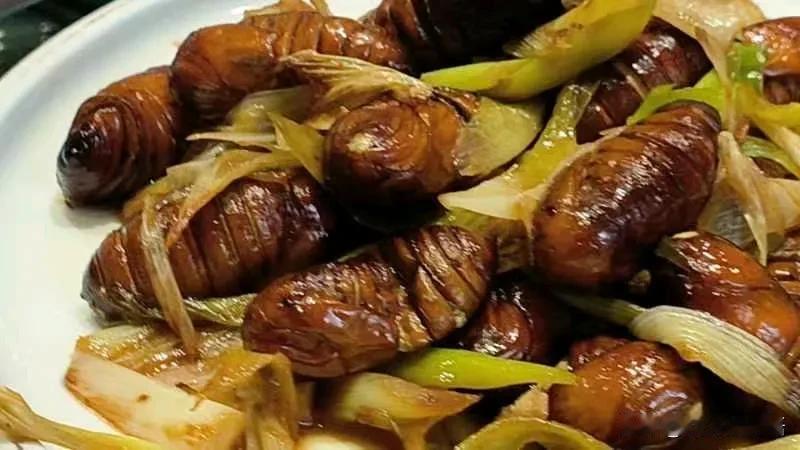 #分享美食食谱#都说蚕蛹特别补蛋白，但这玩意儿咋看都是虫子啊，为了提高免疫力，由